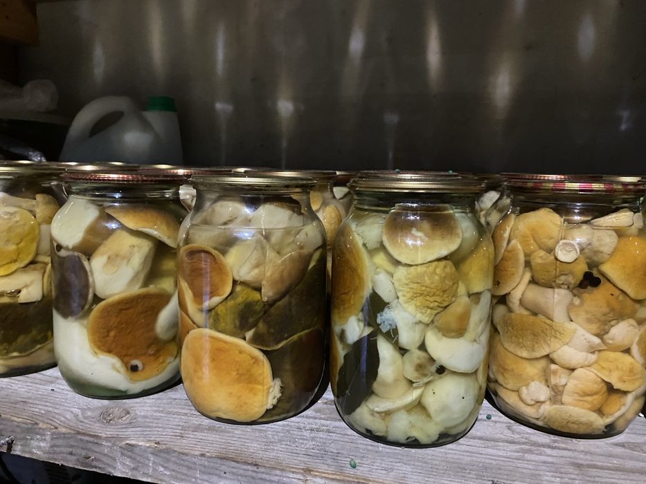 Мариновані білі гриби