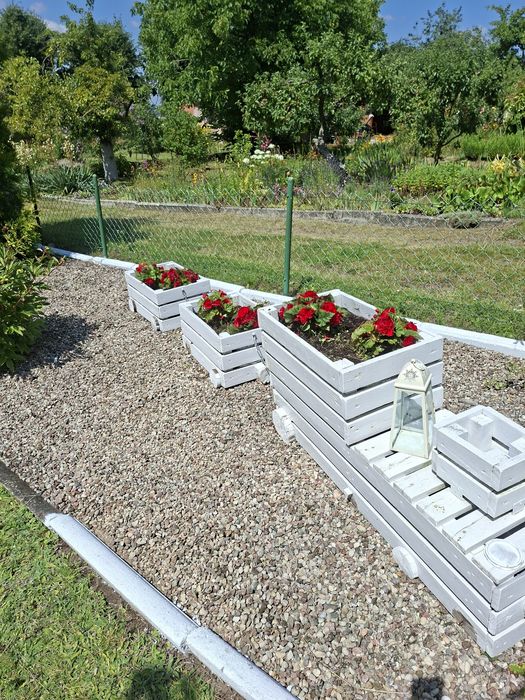 Działka ROD ,,Tulipan" 440 m²