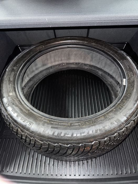 Шина Michelin Pilot Alpin PA5 SUV 255/50 R20 109V XL RG 1 шт