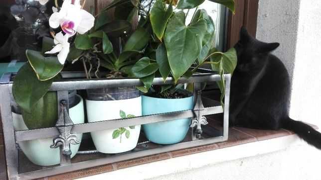 Kwietnik kuty kwiaty donice doniczki skrzynki ozdoba dekoracja