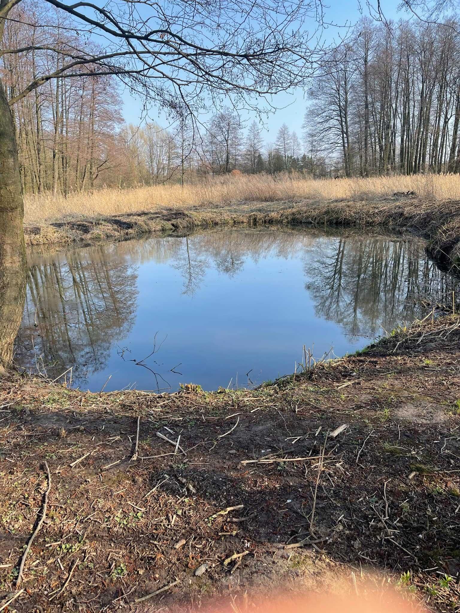 Działka ze stawem rybnym Garbów ul. Dolna