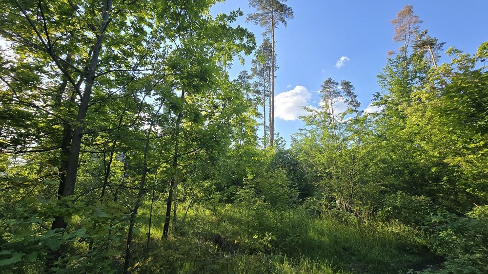 Продаж земельної ділянки 10 сот. р-н Паперова фабрика. (26158758)