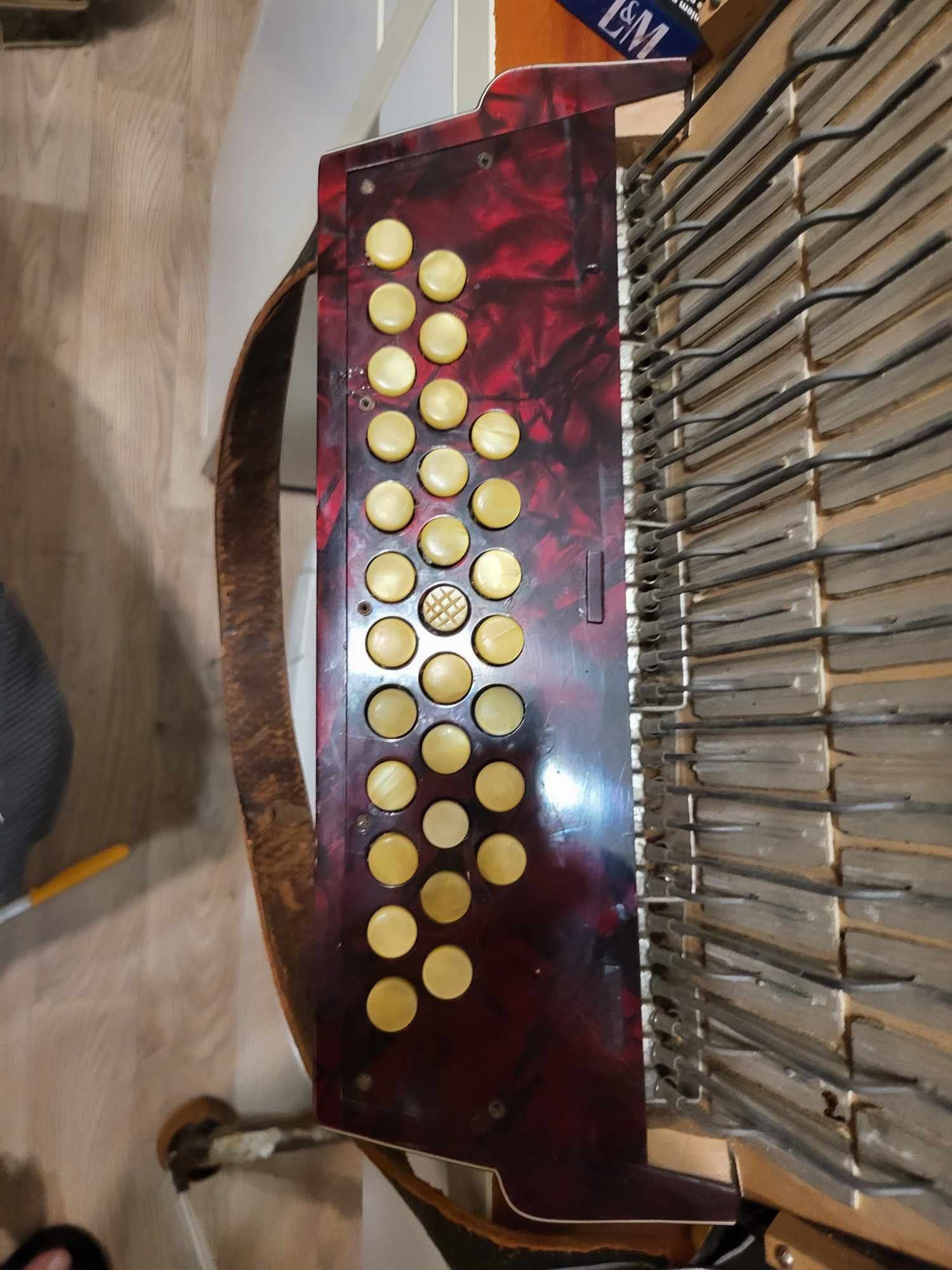 Guzikówka  Royal Standard