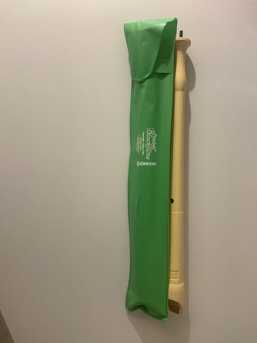 Flauta com limpador e capa
