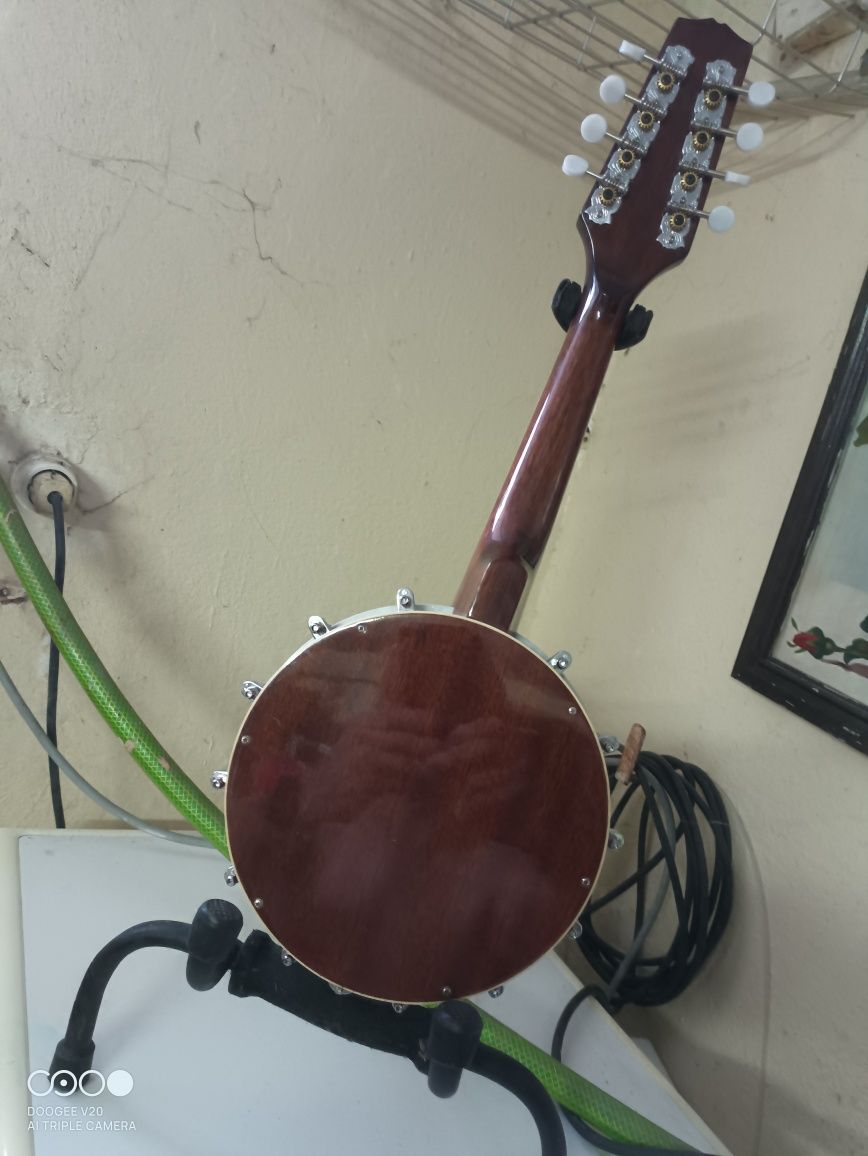 Banjos Bandolins