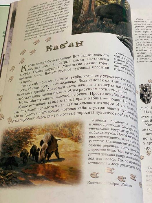 Прогулки по лесу Книга травник для детей