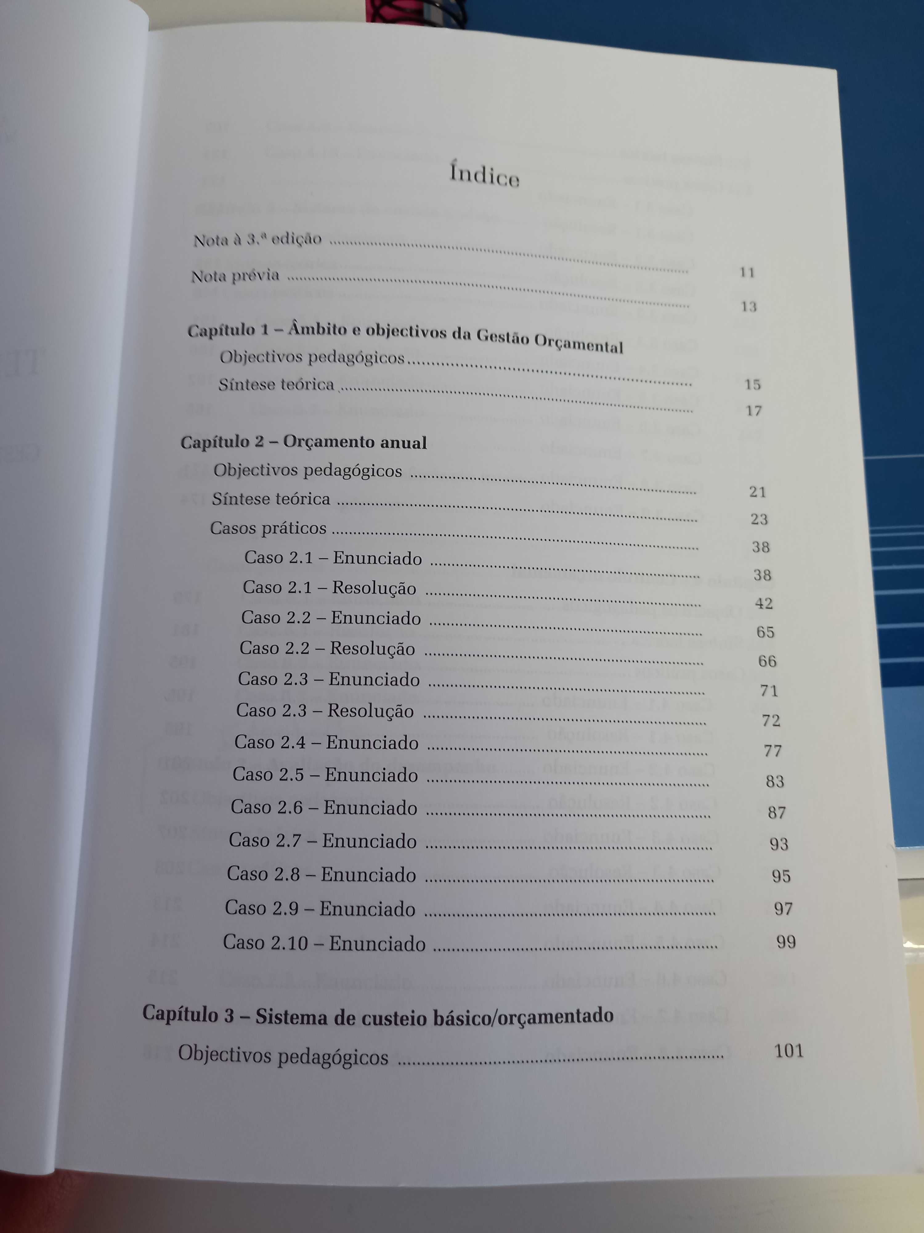 Temas Contabilidade de Gestão orçamental e medidas financeiras