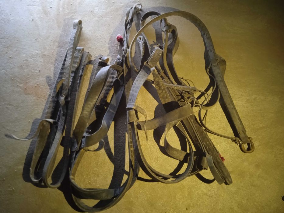 Chomąto,Orczyki,Uzdy,Lica na parę,Baty, sprzęt konny