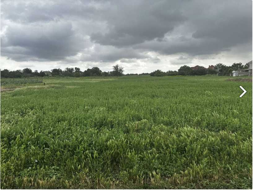 Участок 10,5 соток,Кароліно - Бугаз.В  центрі ,села правильной форми.