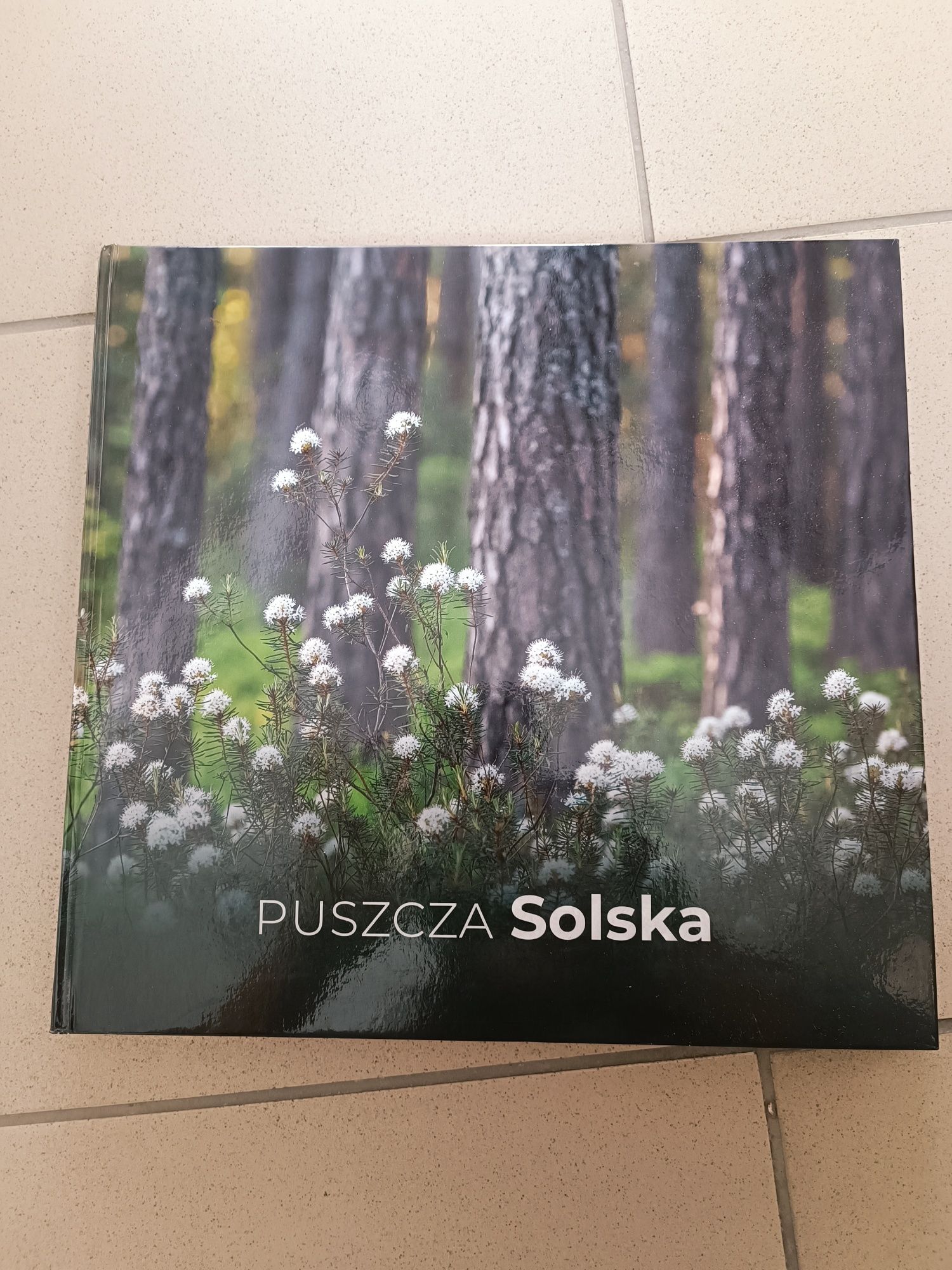 Album Puszcza Solska książka