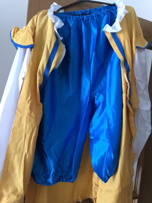 Fato de Carnaval campones