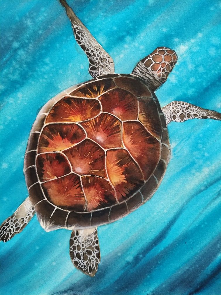 Акварельная иллюстрация Морская черепаха
