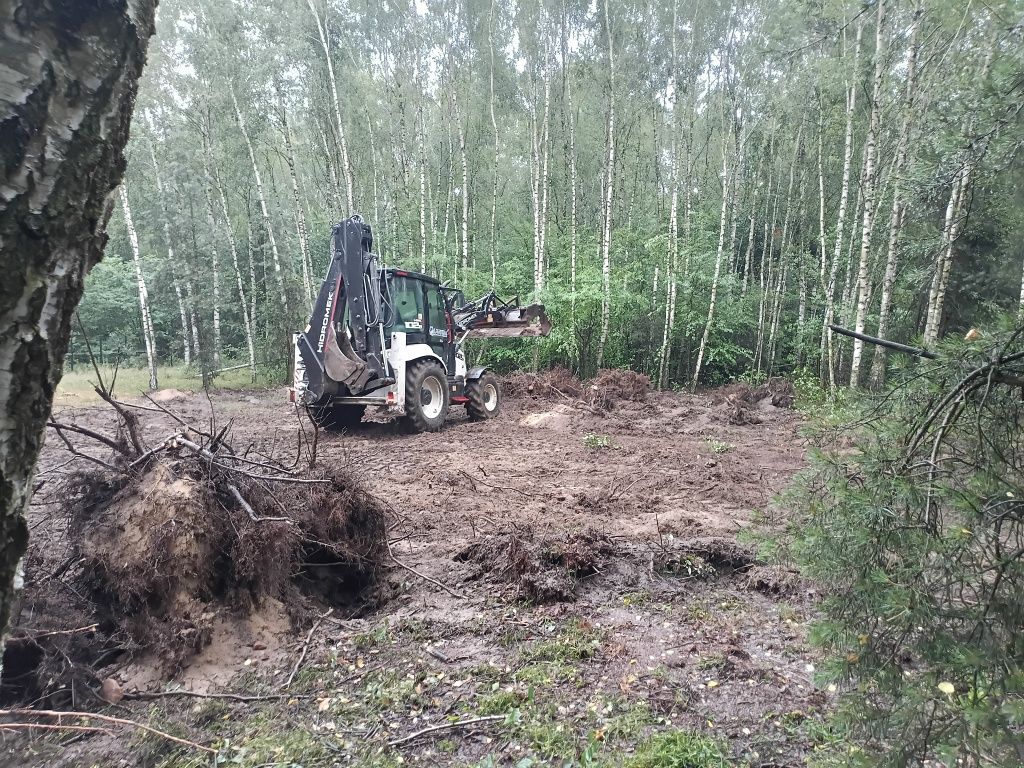 Wycinka drzew ,czyszczenie działek