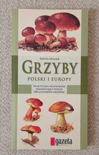Książka "Grzyby Polski i Europy"