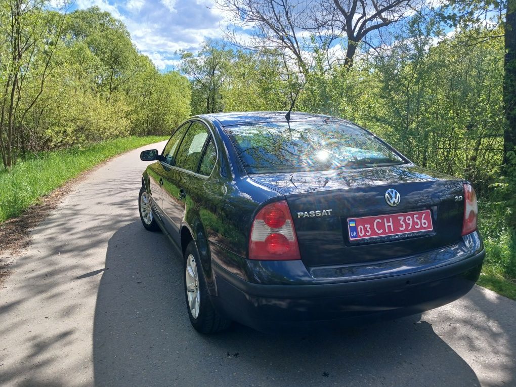 Свіжо пригнане авто.