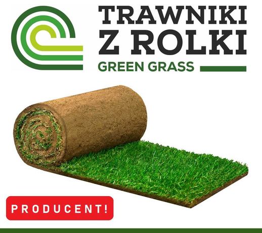 Trawniki z rolki Green Grass/Trawa plantacja/Producent