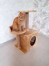 Дряпка Будиночок для кота Кігтеточка для кішок Стійка для котів