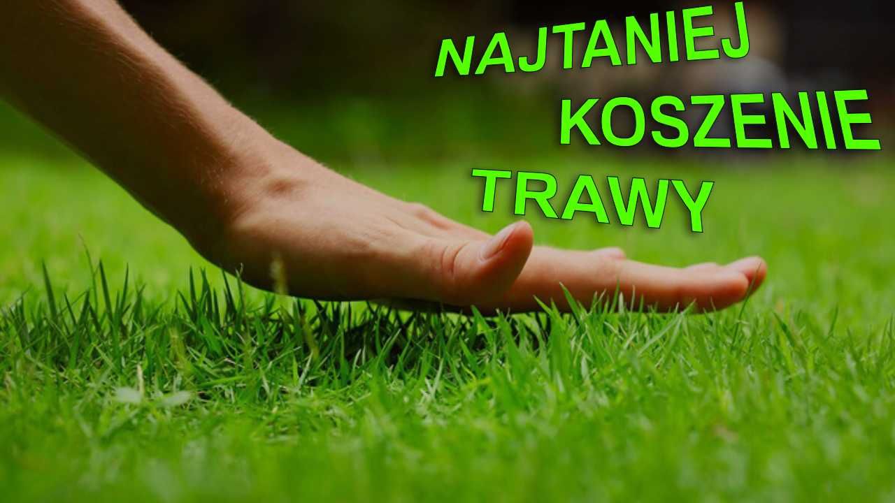 Koszenie trawy, koszenie trawnika, SZYBKIE TERMINY