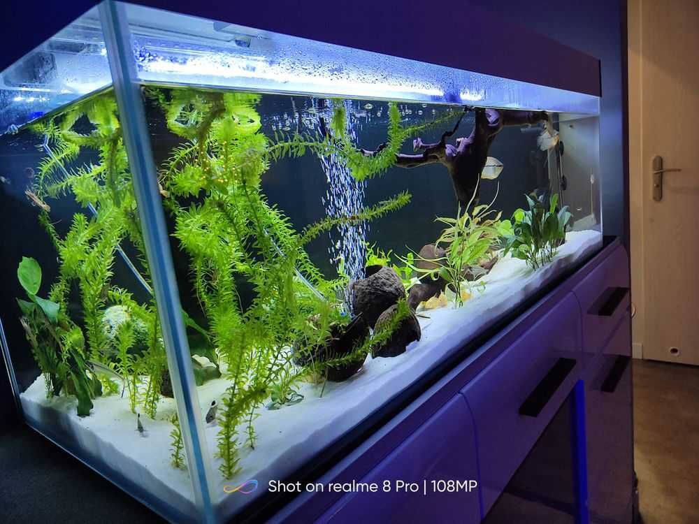 Akwarium proste 80x40x60 - 192 litrów float