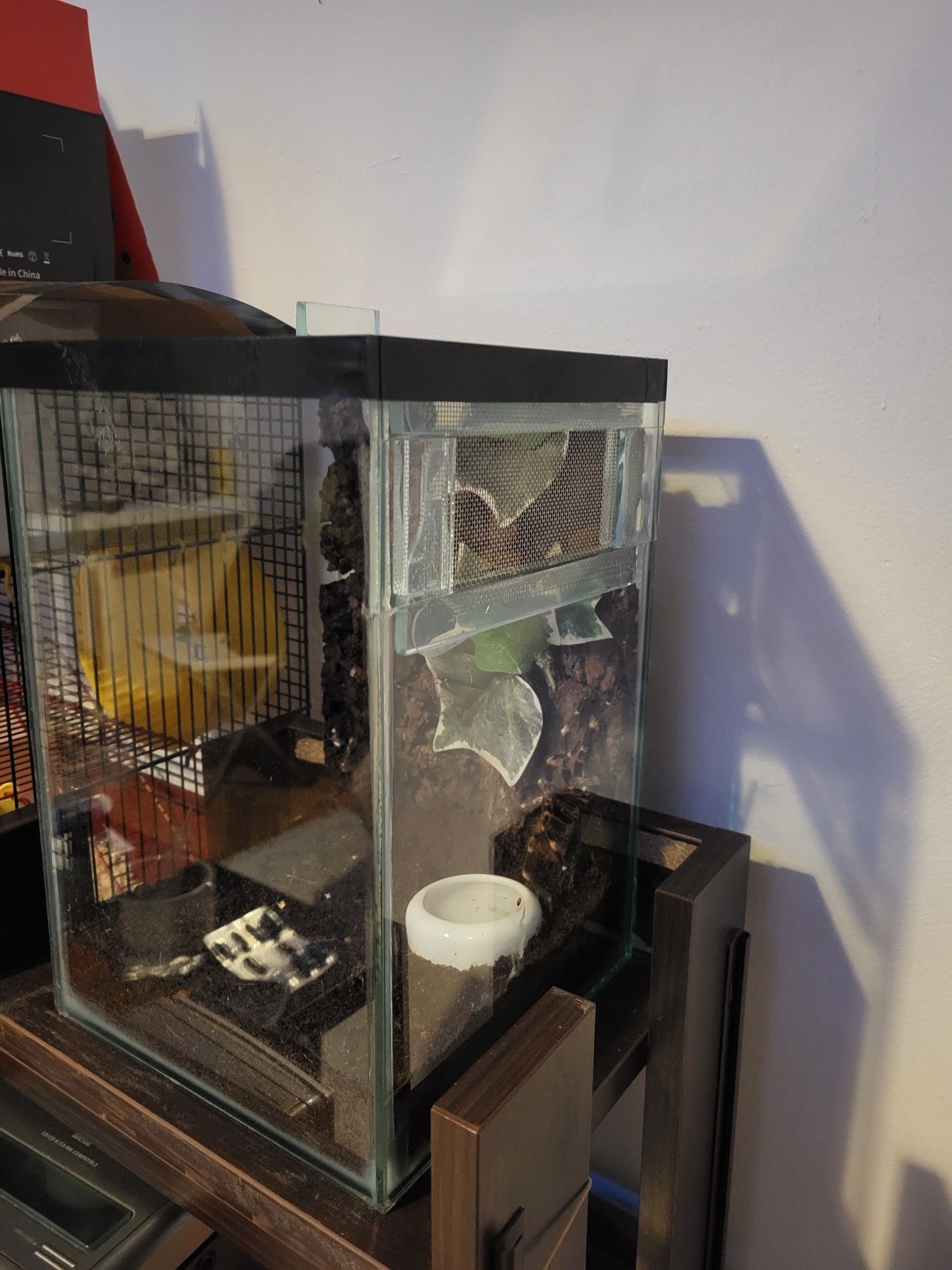 Terrarium dla pająka itp.