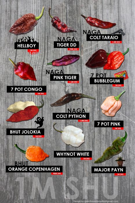 Семена острых перцев насіння гострого перцю Carolina 7Pot Aji Naga