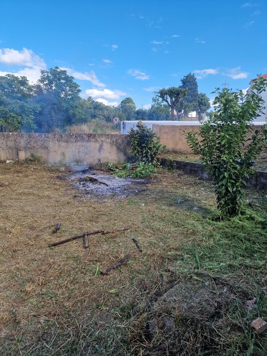 limpeza de terrenos/ desmatação/ venda de lenha