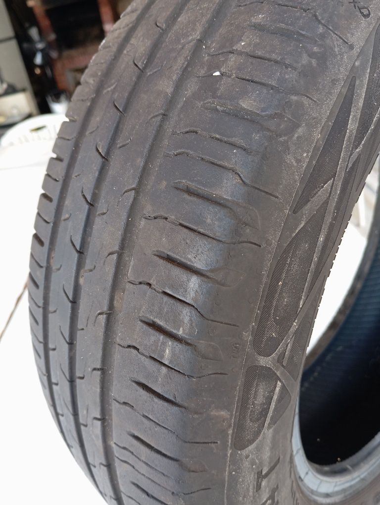 Pneu continental eco-Contact 6 175/65/R14