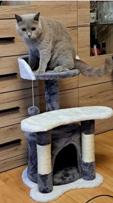 Kompaktowy drapak dla kota do drapania słupek 67 cm