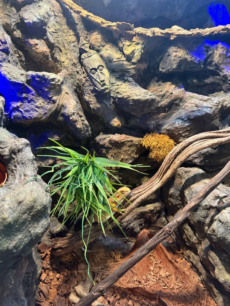 Terrarium robione na zamówienie!