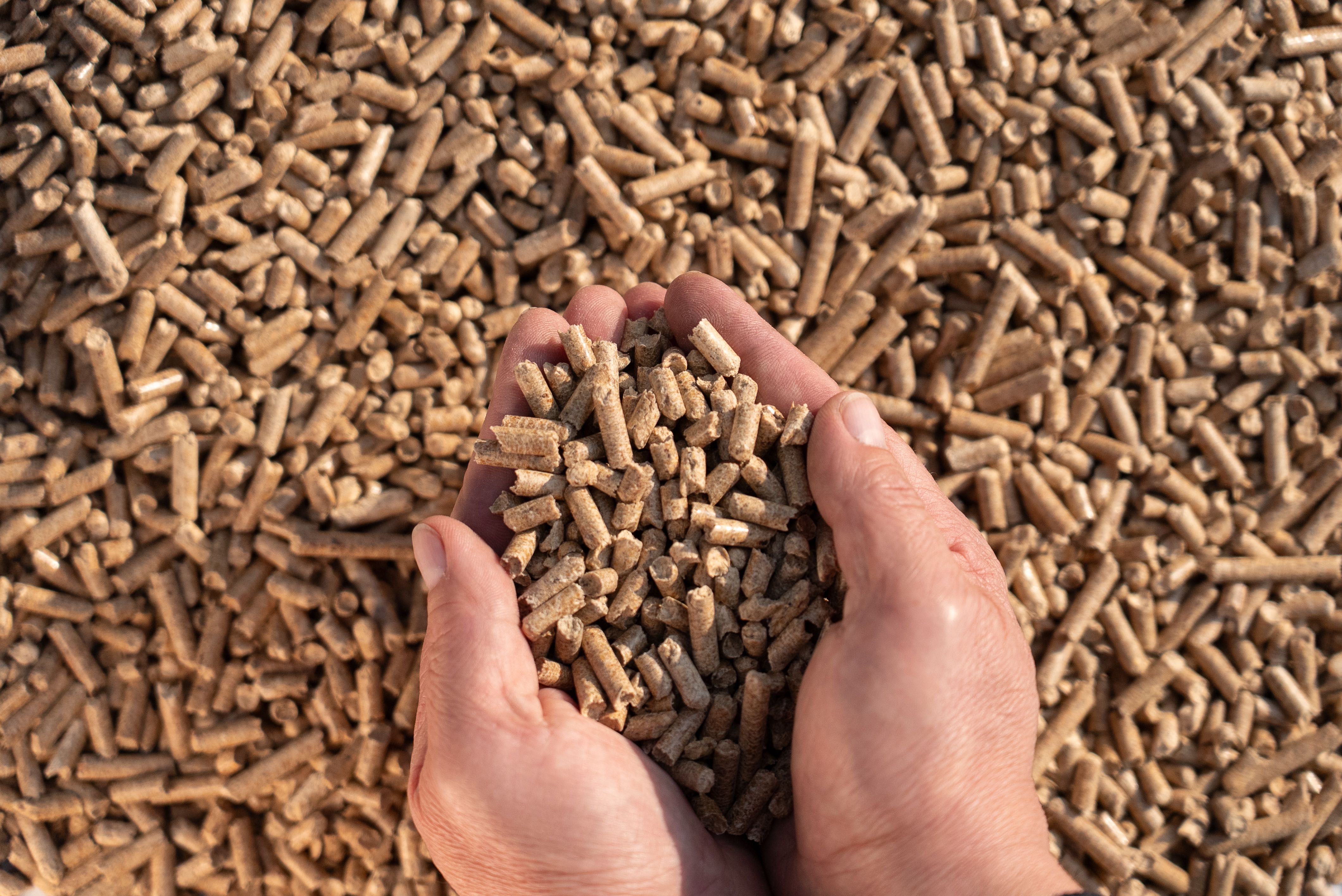 Pellet drzewny | CERTYFIKOWANY | ENplus A1 | PRODUCENT | DOWÓZ