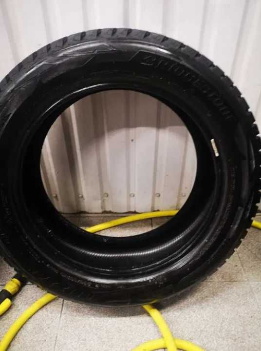 шины Bridgestone Blizzak DM V2 2018
