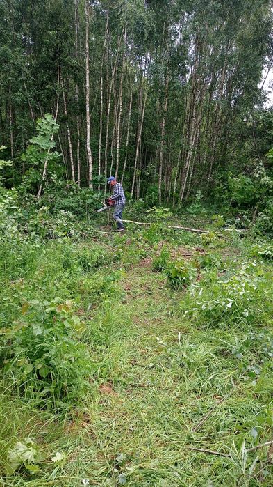 Opróżnianie domów mieszkań piwnic strychów garaży wycinka drzew gruz