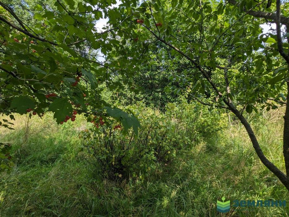 Продаж земельної ділянки в с. Павлівка (1)