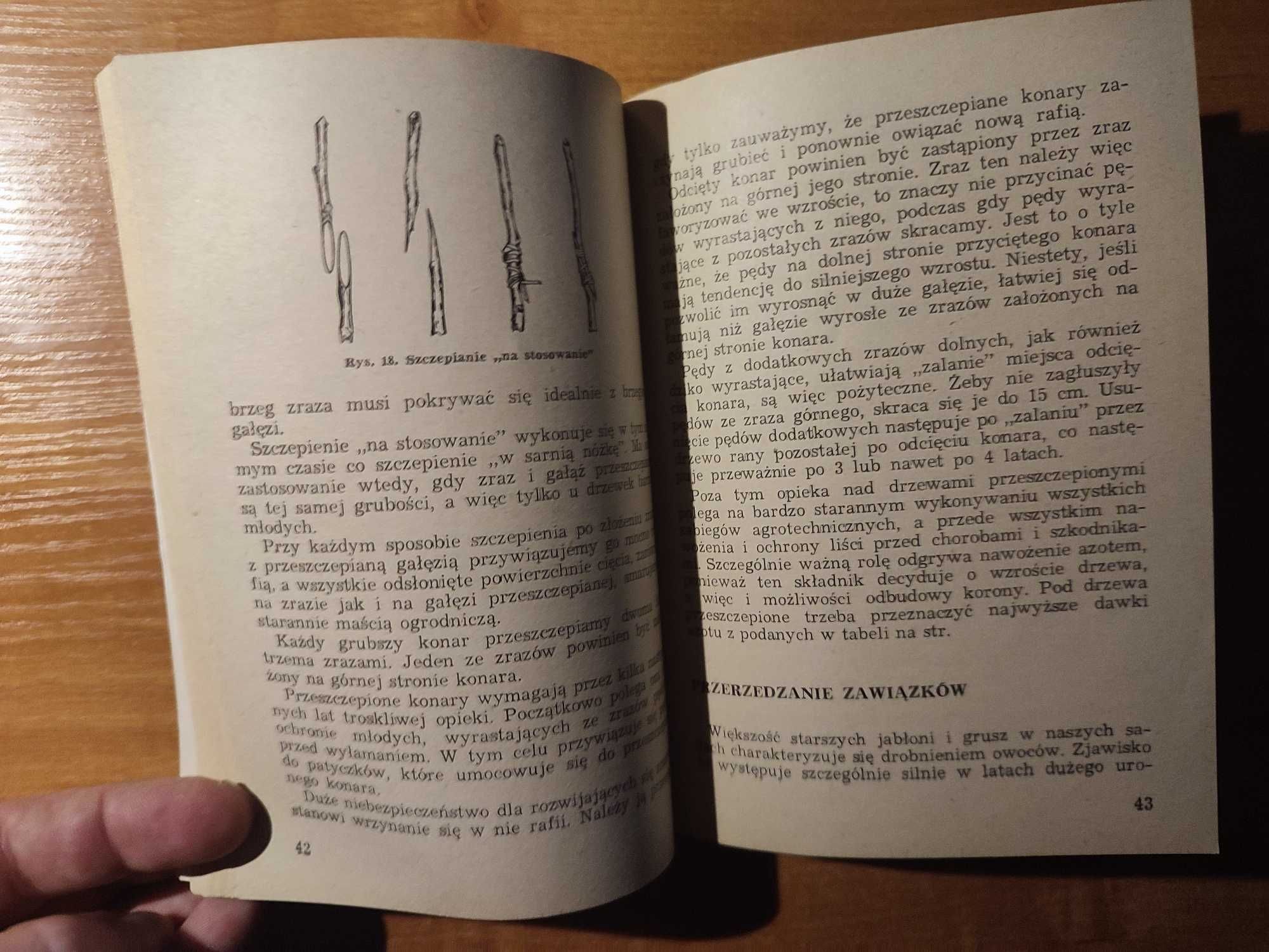 Agrotechnika i ochrona sadu owocującego, Zygmunt Soczek Zbigniew Suski