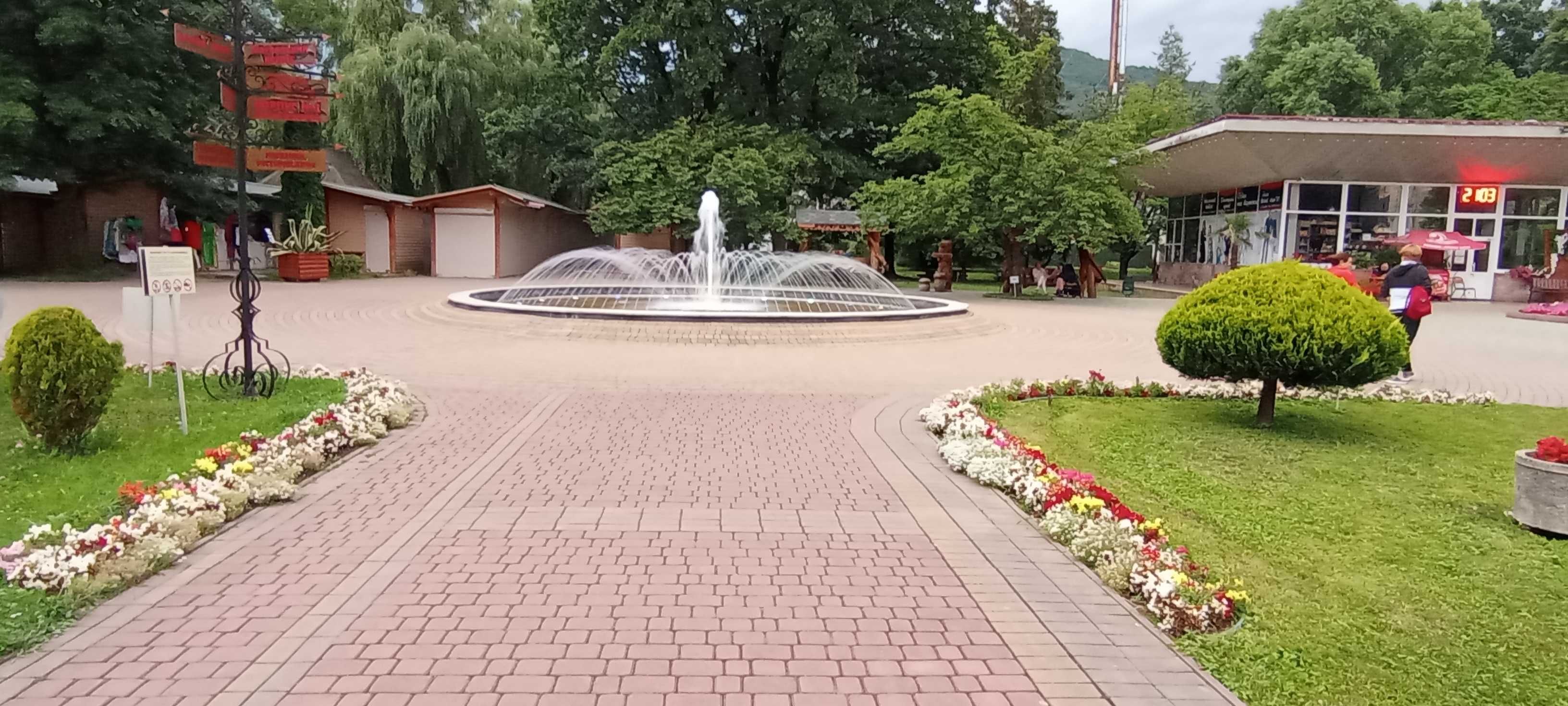 Ціну різко знижено Продаєм земельну ділянку Солочин Закарпатської