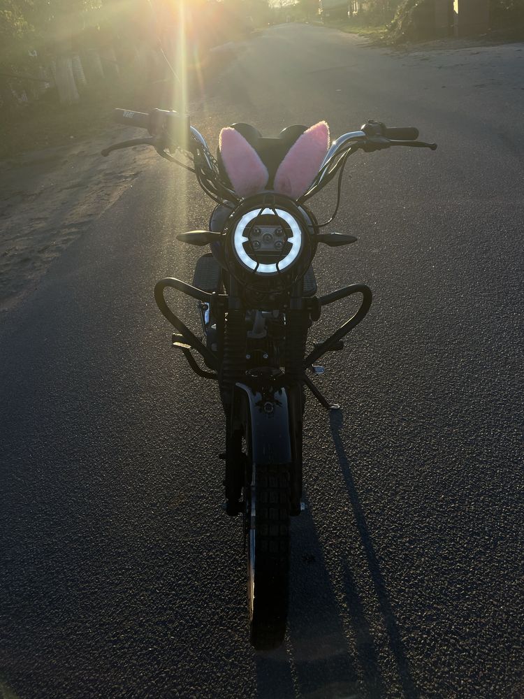 Sokmoto mx 125 js ( alpha musstang viper forte альфа)