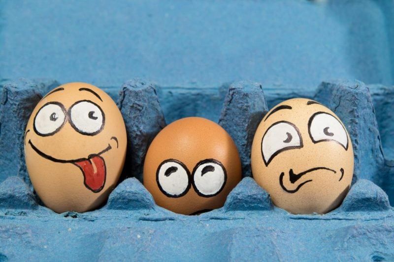 Яйця курячі домашні.