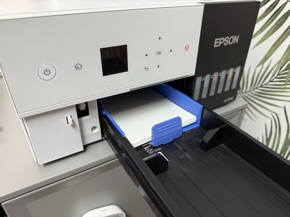 EPSON SureLab SL-D500