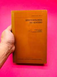 Epistemologia do Sentido Vol I - Fernando Belo