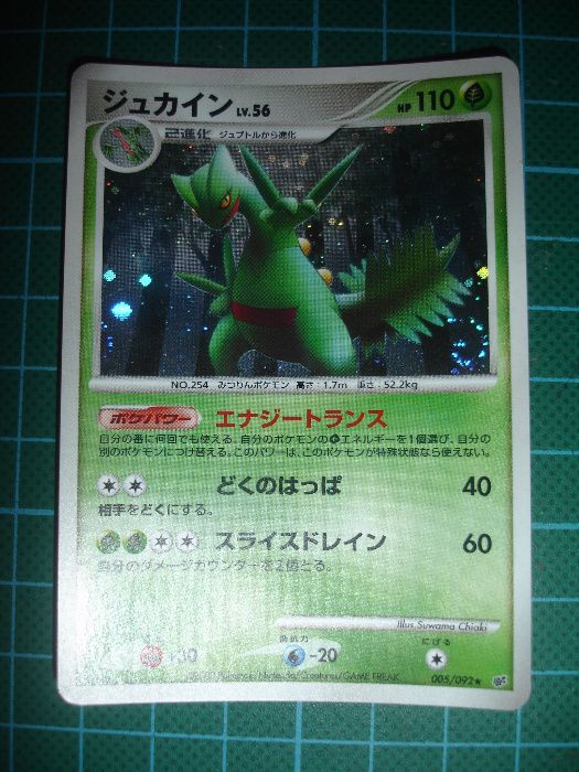 Carta Pokemon Sceptile Holo 2008 JPN