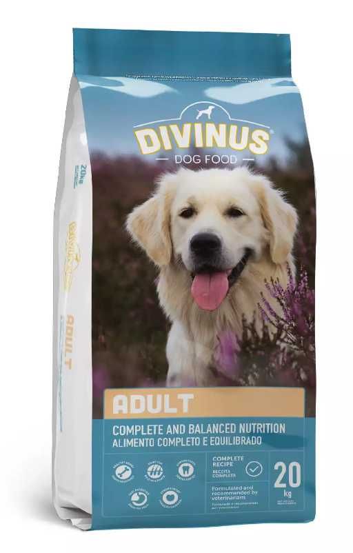 Karma dla psa divinus Adult 20kg
