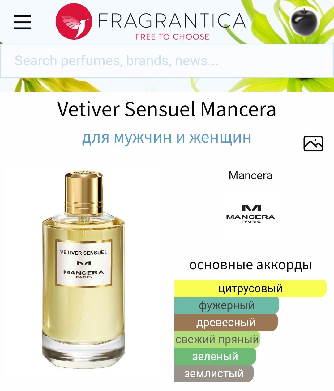 Mancera Vetiver Sensuel, Armaf, Lattafa, Afnan, Ajmal