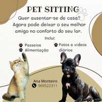 Pet sitting/passeios à rua