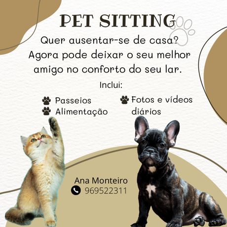Pet sitting/passeios à rua