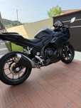 Honda CBR 500, 2024