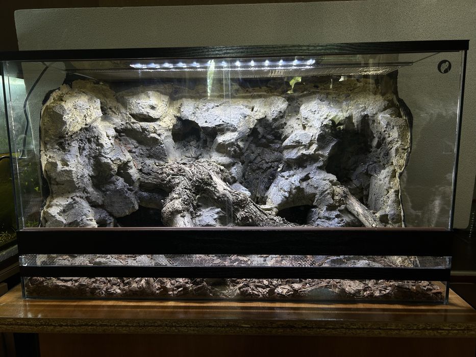 Тераріум для рептилій, членостоногих з декором