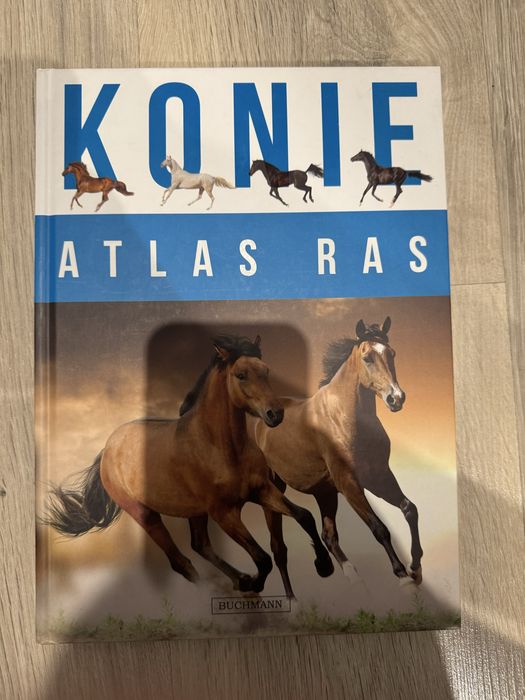 Atlas ras koni