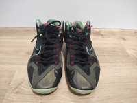 Nike Lebron XI Kings Pride 44