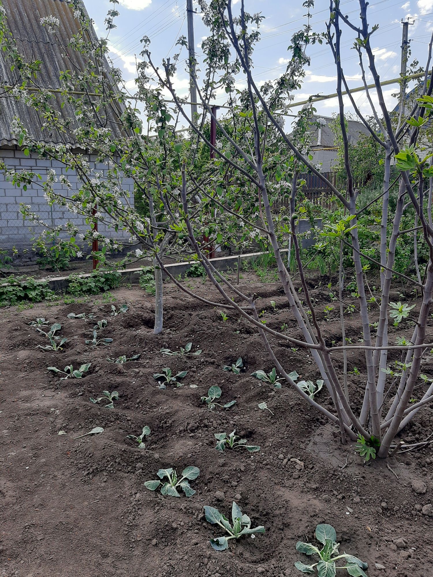 Продам ч/дома Малоекатериновка с жил. времянкой и удобств.Собственник.