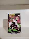 Manga - Demon Slayer 14 [INGLÊS]